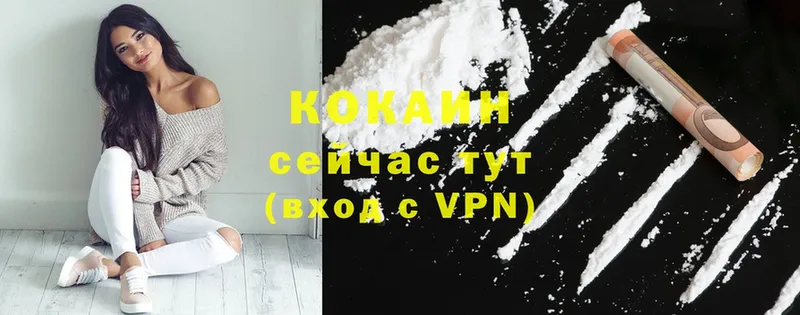 COCAIN Эквадор  купить наркоту  Верхняя Салда 